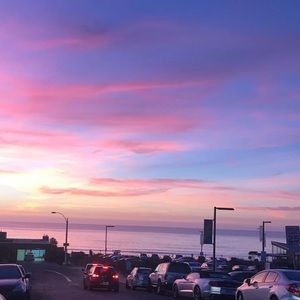 Meet your Posher, Allie